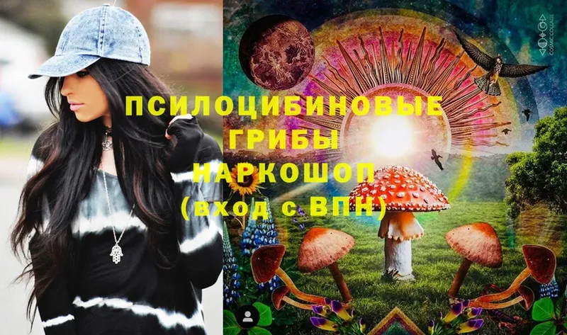 хочу   Бирск  Галлюциногенные грибы MAGIC MUSHROOMS 